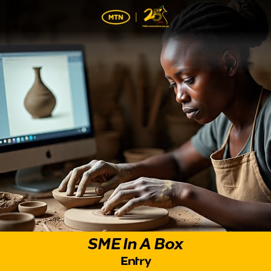 SME in the box - ENTRY